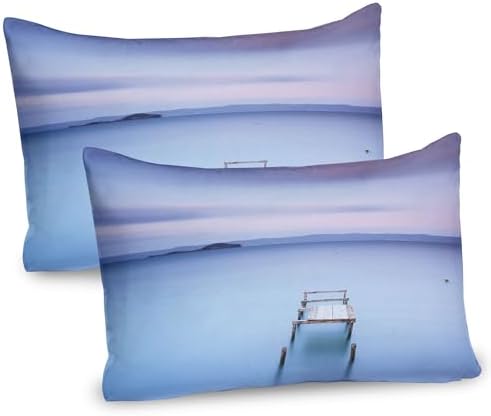 Ambesonne Landscape Pillow Sham Set of 2 Pale Blue Lilac 1