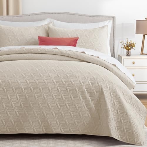 Lavsiry Beige Quilt Set - 3 Piece Full Queen Size Bedding