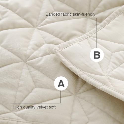 Queen Luxury Velvet Quilt Set with 2 Pillow Shams 1