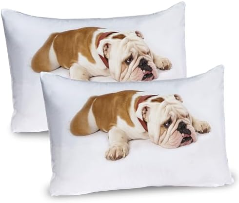 Ambesonne English Bulldog Pillow Sham Set of 2