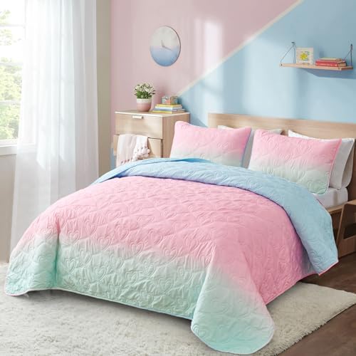 Xruibed Pink Ombre Quilt Set Queen 3PCS Summer Use
