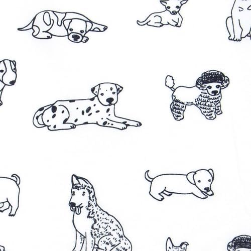 Kids Rule 3-Piece Dog Sketch Sheet Set