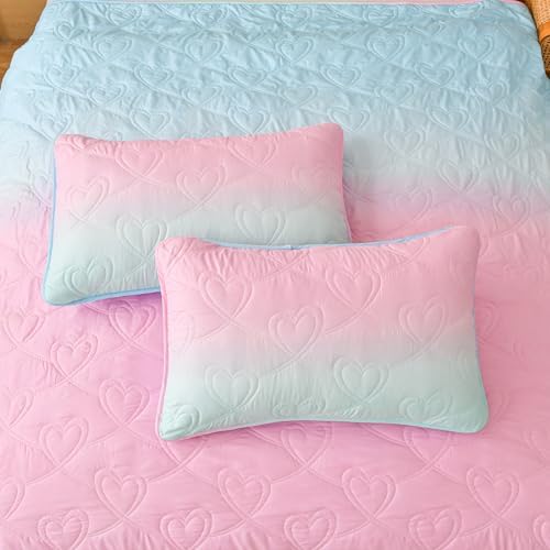 Xruibed Pink Ombre Quilt Set Queen 3PCS Summer Use