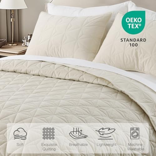 Queen Luxury Velvet Quilt Set with 2 Pillow Shams 1