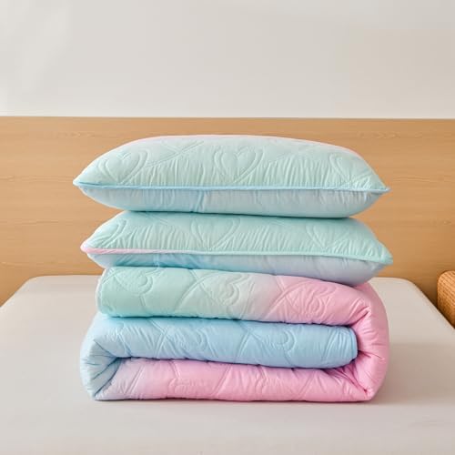 Xruibed Pink Ombre Quilt Set Queen 3PCS Summer Use