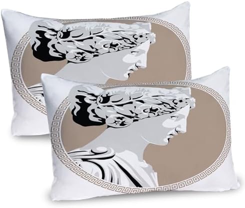 Ambesonne Retro Pillow Sham Set of 2 Pale Grey Tan
