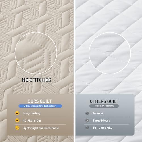 Lavsiry Beige Quilt Set - 3 Piece Full Queen Size Bedding