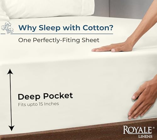 Royale Linens 100 Organic Cotton Twin XL Fitted Sheet - Ivory Deep Pocket