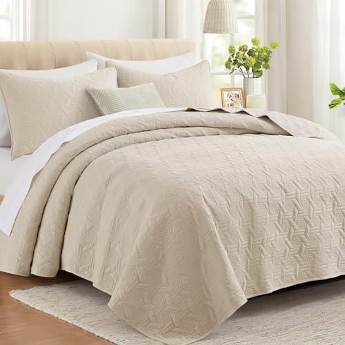 Lavsiry Beige Quilt Set - 3 Piece Full Queen Size Bedding