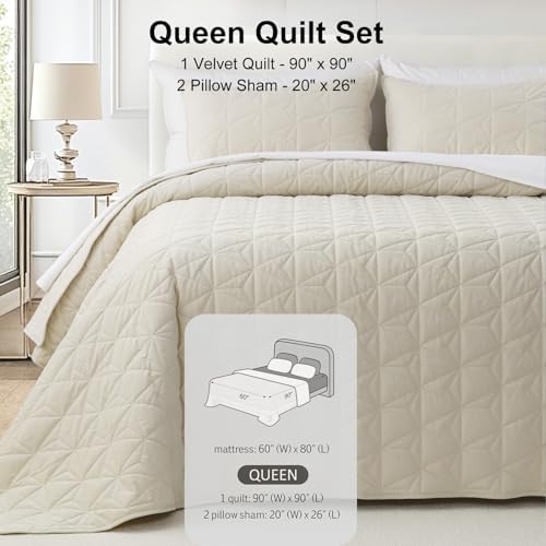 Queen Luxury Velvet Quilt Set with 2 Pillow Shams 1
