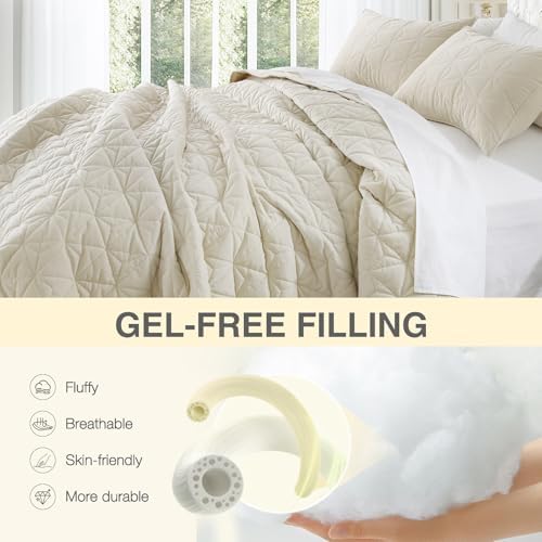 Queen Luxury Velvet Quilt Set with 2 Pillow Shams 1