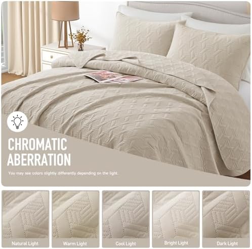 Lavsiry Beige Quilt Set - 3 Piece Full Queen Size Bedding