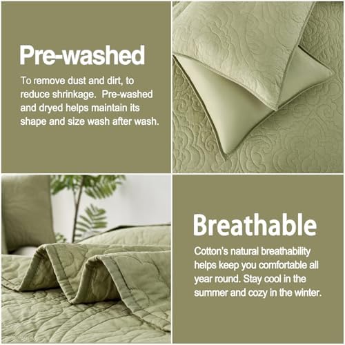 Querencia 100 Cotton Queen Quilt Set - Sage Green Paisley Pattern 3 Pieces