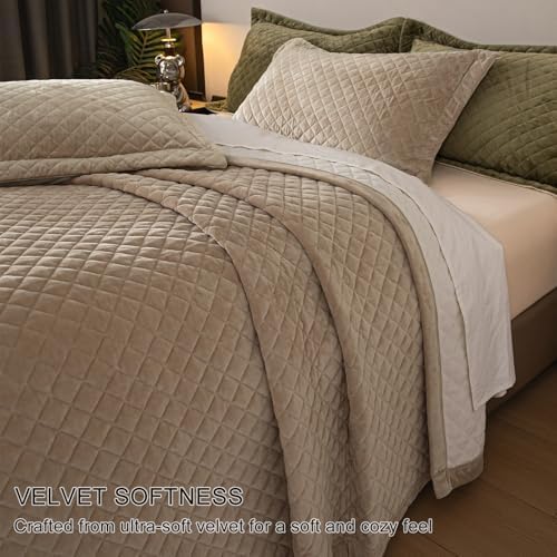 tohrisa Queen Size Velvet Quilt Set 3-Piece