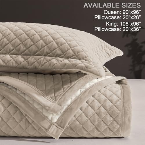 tohrisa Queen Size Velvet Quilt Set 3-Piece