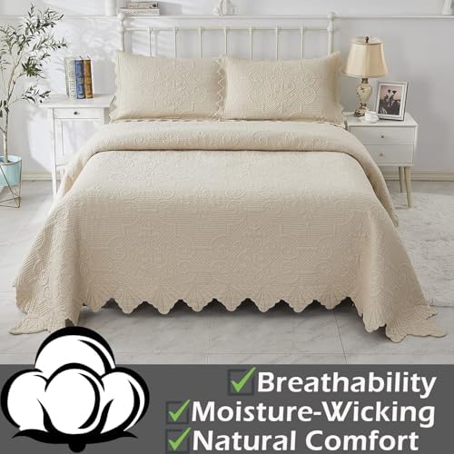 Brandream Beige Quilt Set King Size 3Pcs