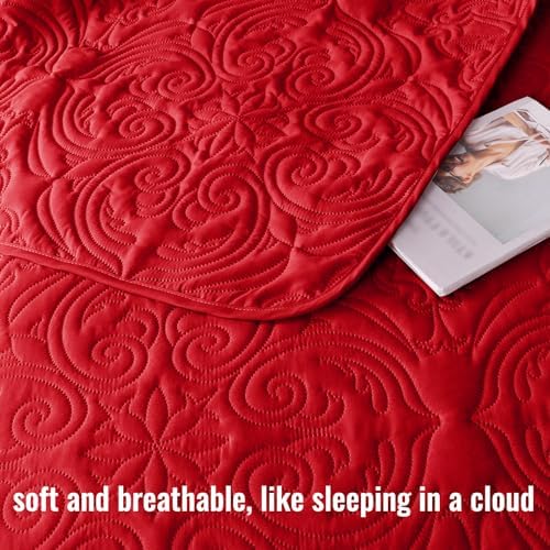 Exclusivo Mezcla King Size Quilt Set - Red