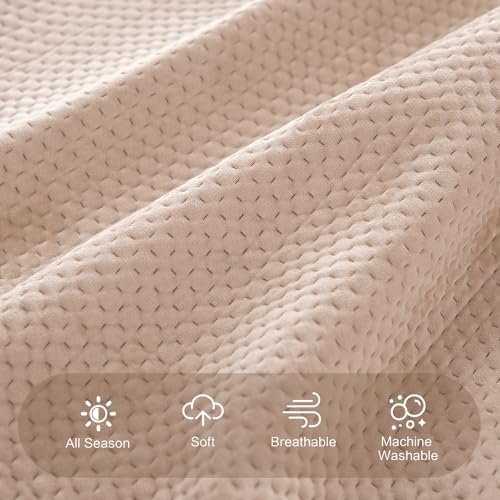 KASENTEX Plush Poly-Velvet Quilt Set with Shams - Queen Size