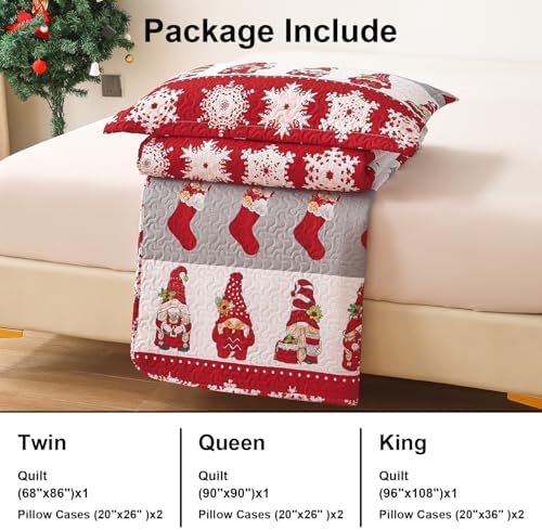 Smuge Christmas Bedspread Queen Size Quilt Set
