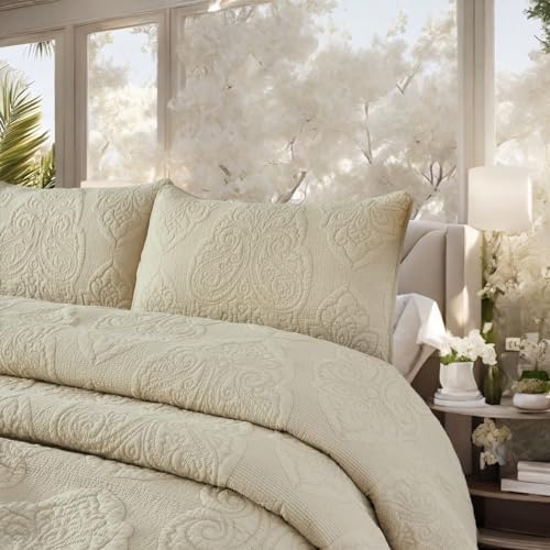 Brandream Queen Size Quilt Set 3-Piece Cotton Beige