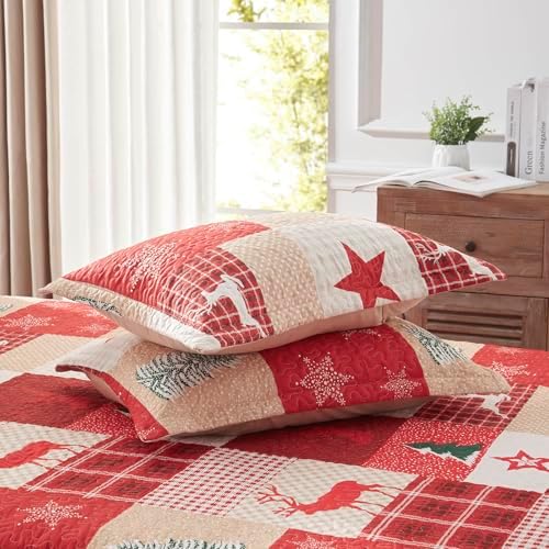LEAONME Christmas Quilt Set 3-Piece King Size