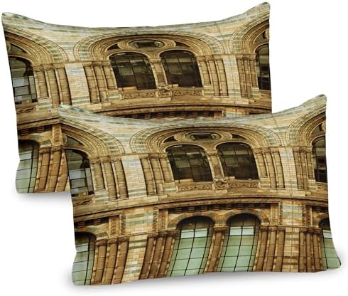 Ambesonne Urban Pillow Sham Set of 2 London Art Print 30 x 20