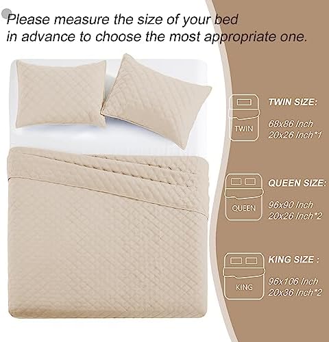 Exclusivo Mezcla Soft Quilt Set King Size 3 Pieces