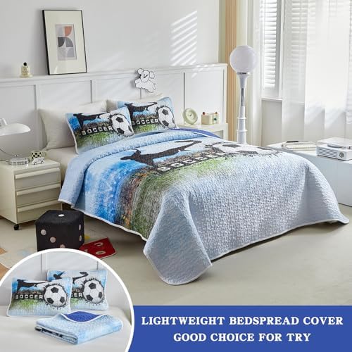 UOZZI BEDDING Boys Quilt Set Summer Breathable Microfiber