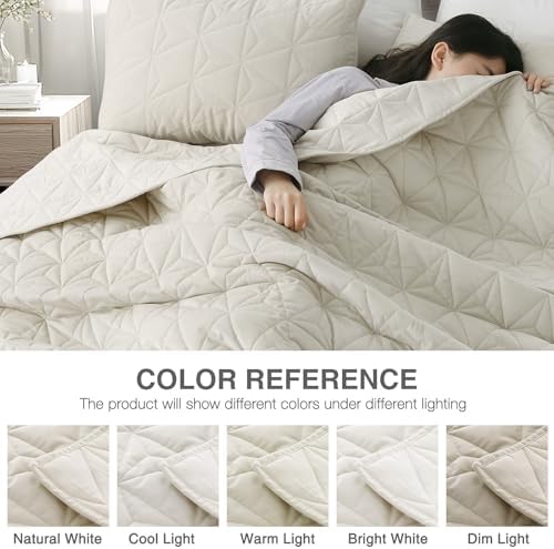 Queen Luxury Velvet Quilt Set with 2 Pillow Shams 1