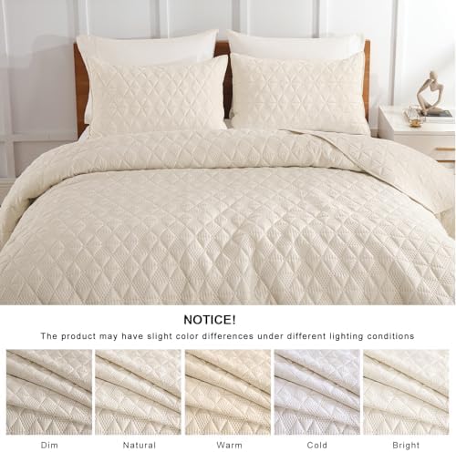 DJY Beige Queen Quilt Set with Pillow Shams