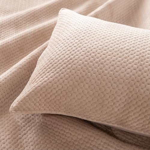 KASENTEX Plush Poly-Velvet Quilt Set with Shams - Queen Size