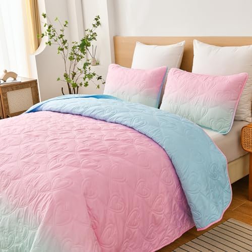 Xruibed Pink Ombre Quilt Set Queen 3PCS Summer Use