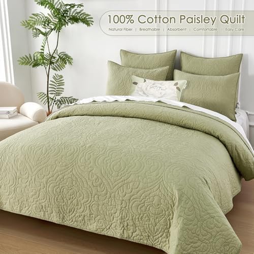Querencia 100 Cotton Queen Quilt Set - Sage Green Paisley Pattern 3 Pieces