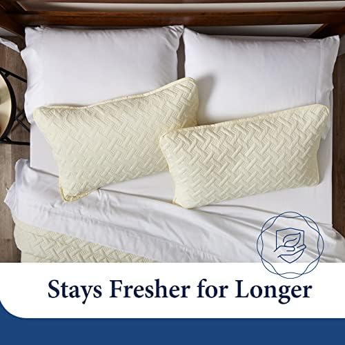 Cosy House Collection Bamboo Rayon Quilt Set 3-Piece