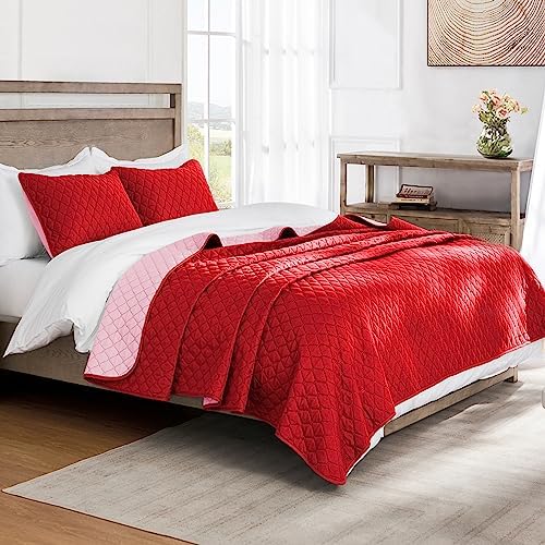 Exclusivo Mezcla Reversible Queen Quilt Bedding Set with Pillow Shams
