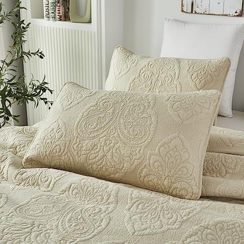 Brandream Queen Size Quilt Set 3-Piece Cotton Beige