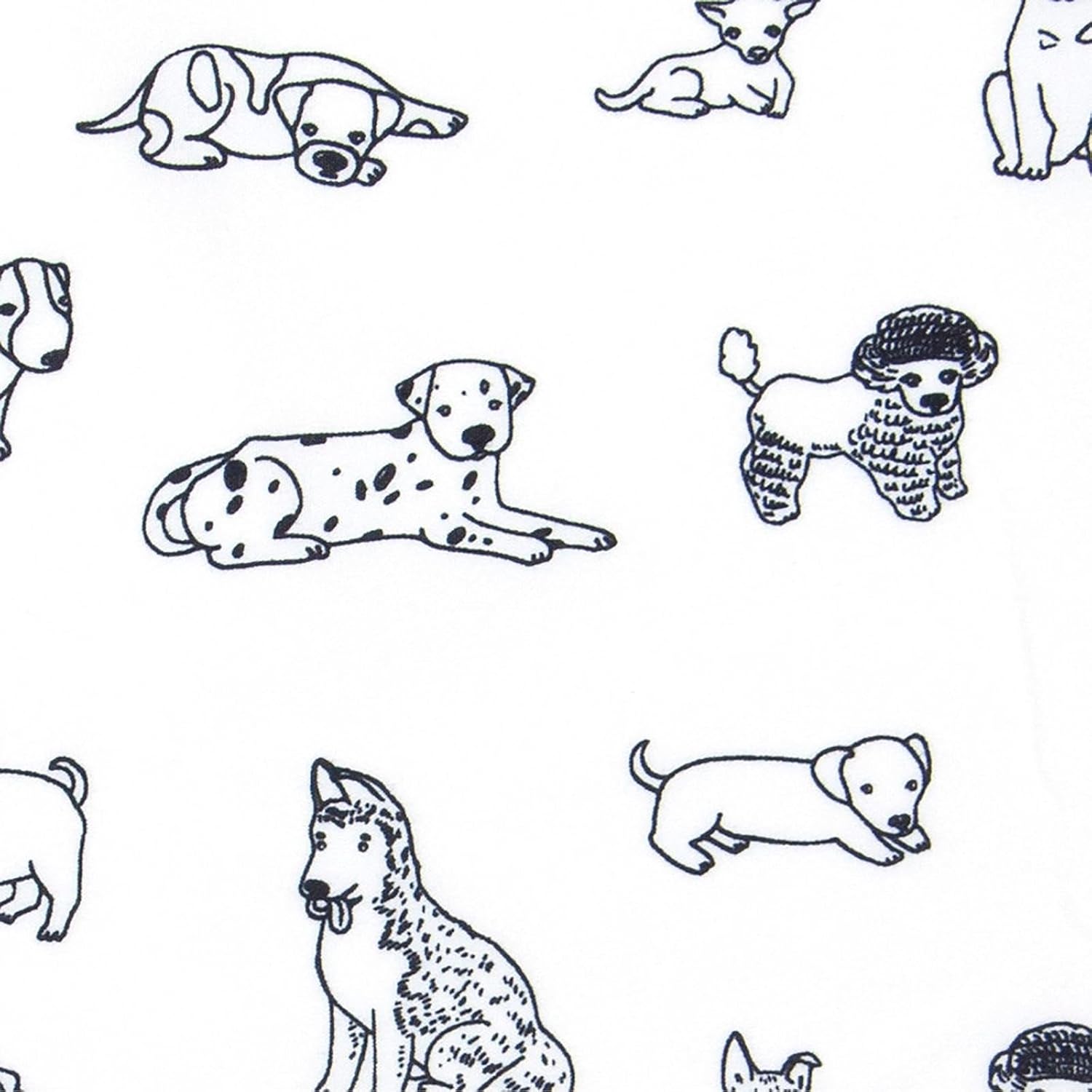 Kids Rule 3-Piece Dog Sketch Sheet Set