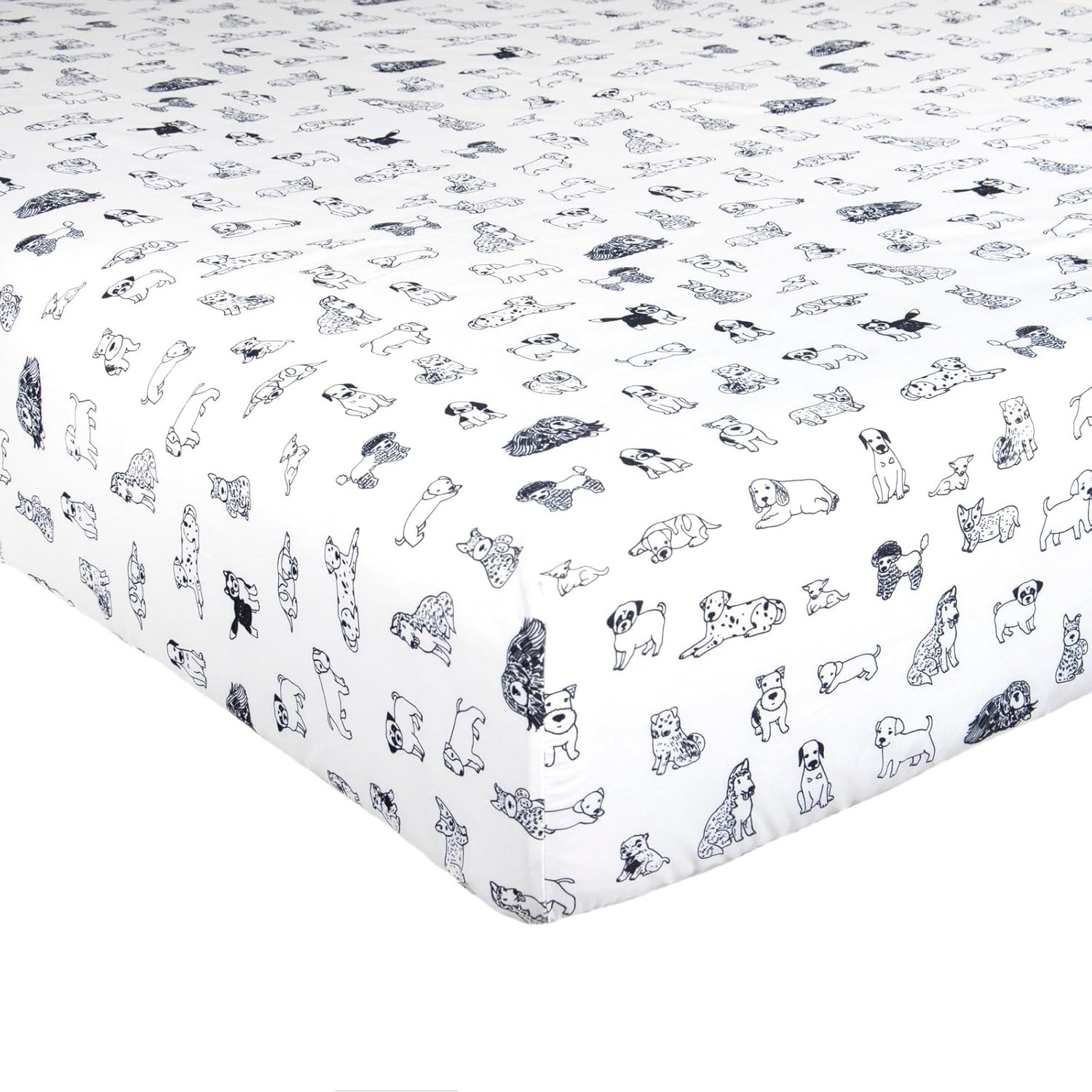 Kids Rule 3-Piece Dog Sketch Sheet Set
