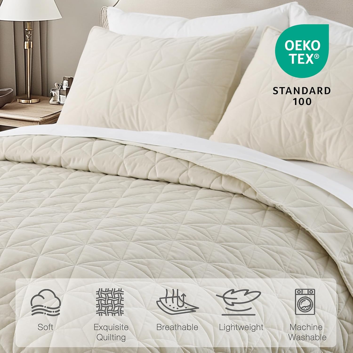 Queen Luxury Velvet Quilt Set with 2 Pillow Shams 1