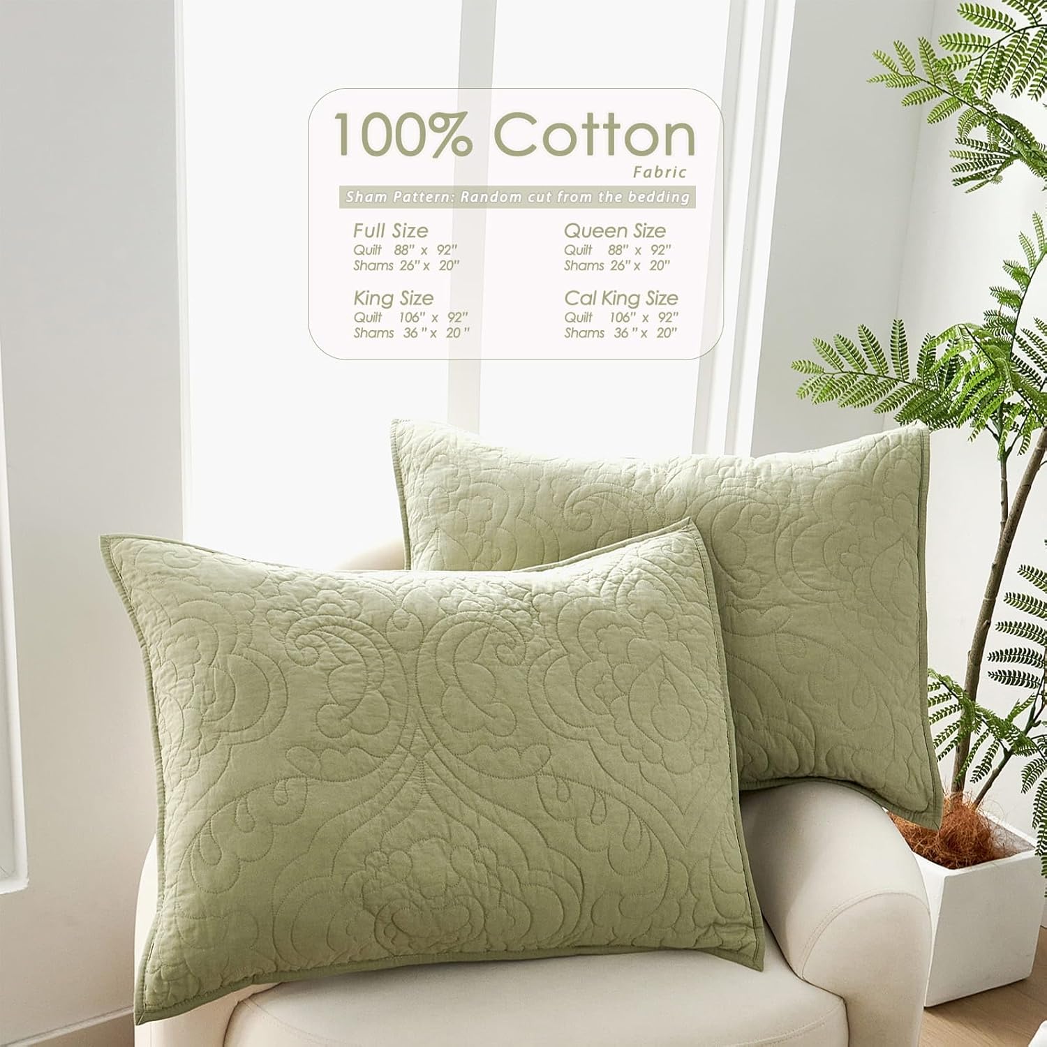Querencia 100 Cotton Queen Quilt Set - Sage Green Paisley Pattern 3 Pieces