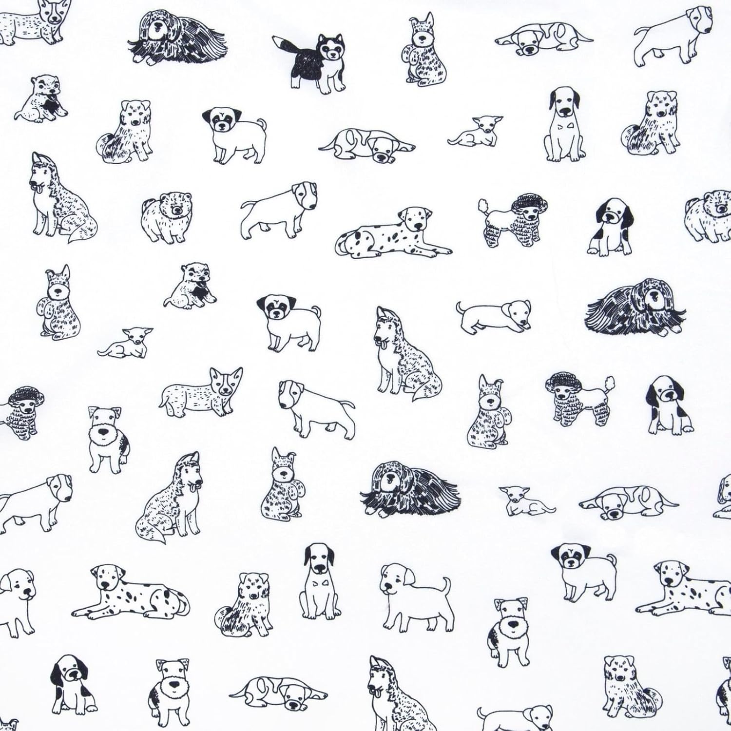 Kids Rule 3-Piece Dog Sketch Sheet Set