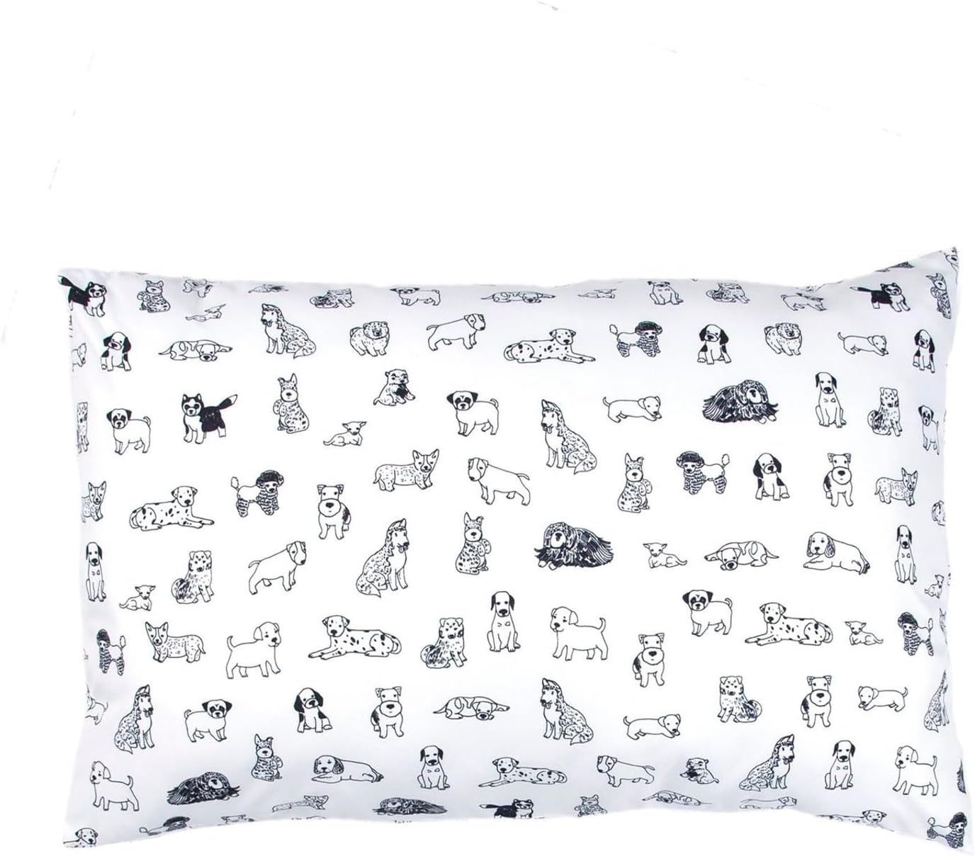 Kids Rule 3-Piece Dog Sketch Sheet Set