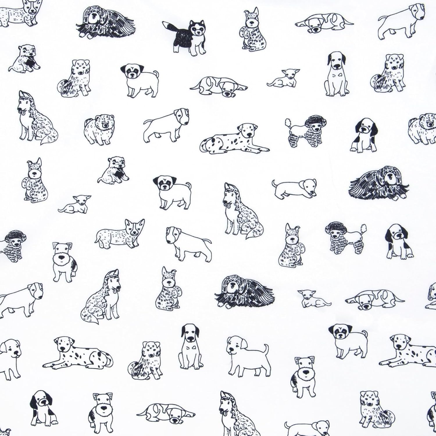 Kids Rule 3-Piece Dog Sketch Sheet Set