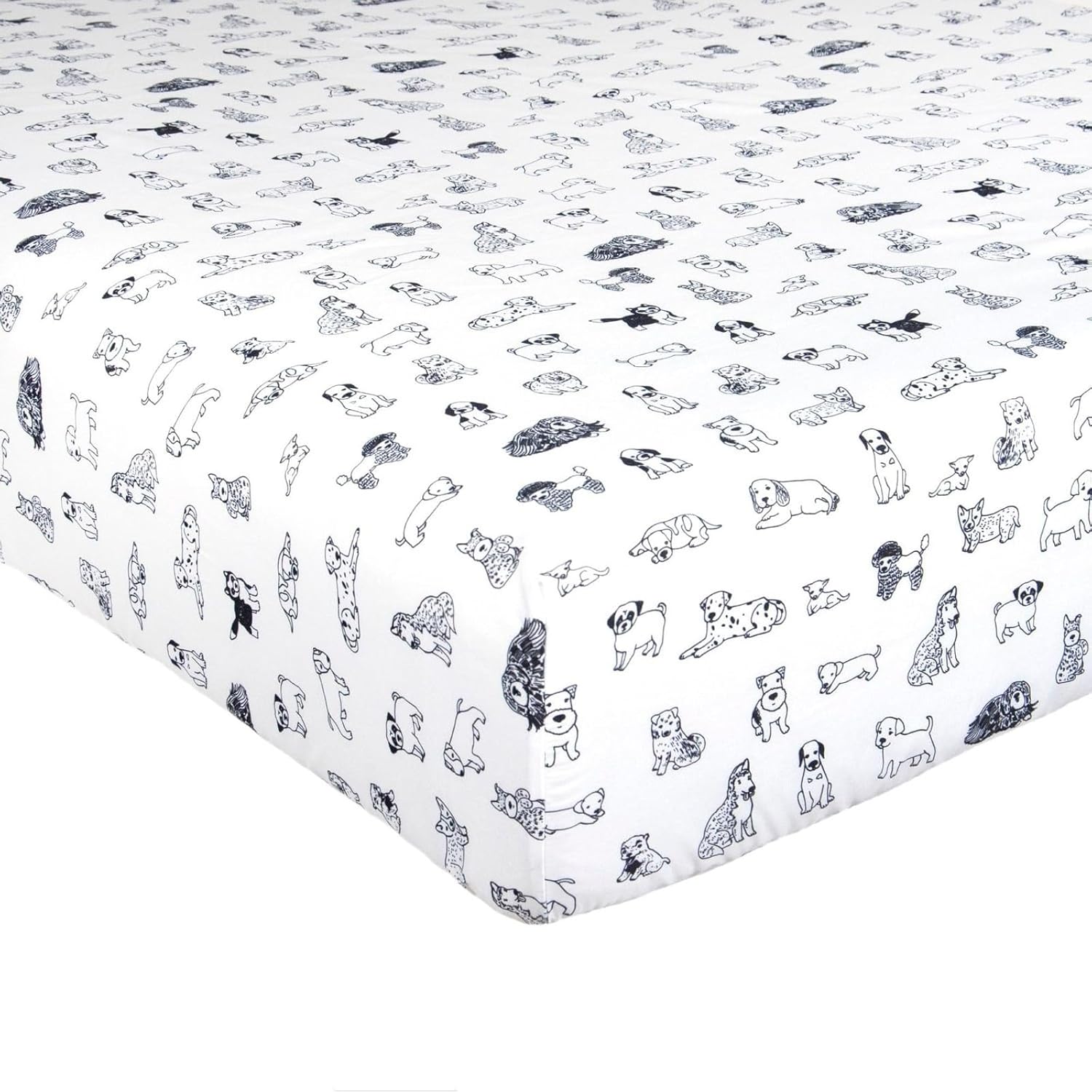 Kids Rule 3-Piece Dog Sketch Sheet Set