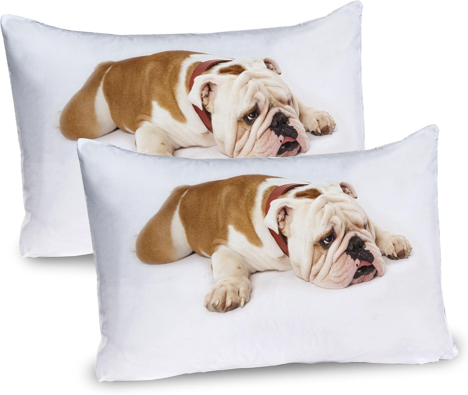 Ambesonne English Bulldog Pillow Sham Set of 2
