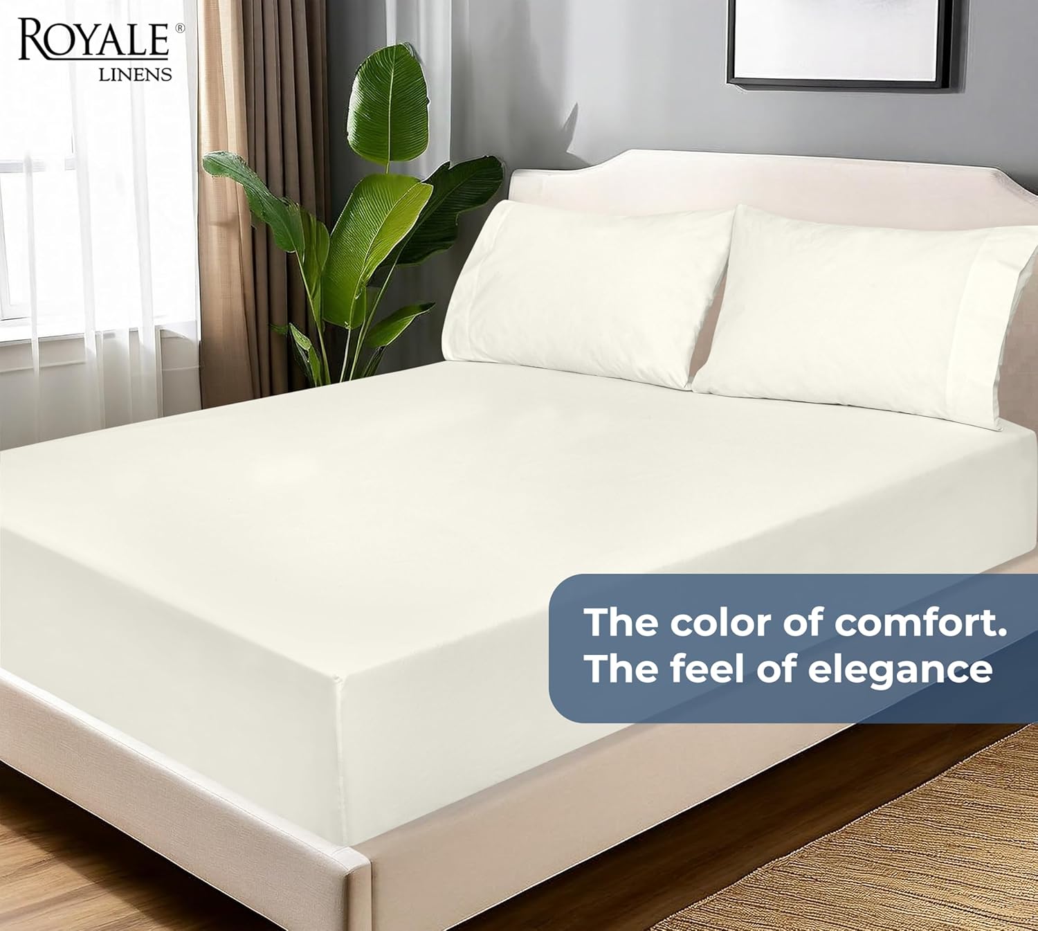 Royale Linens 100 Organic Cotton Twin XL Fitted Sheet - Ivory Deep Pocket