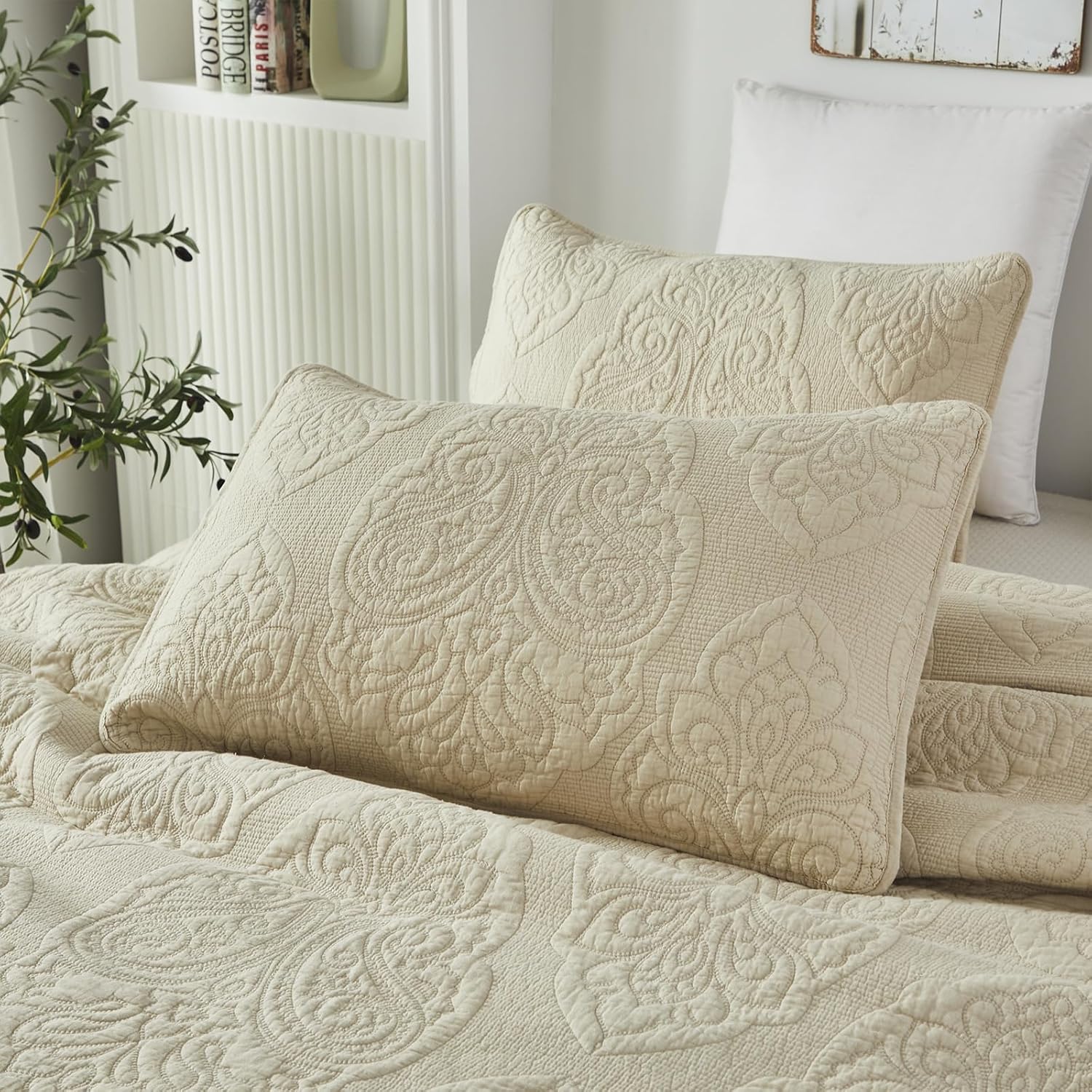 Brandream Queen Size Quilt Set 3-Piece Cotton Beige