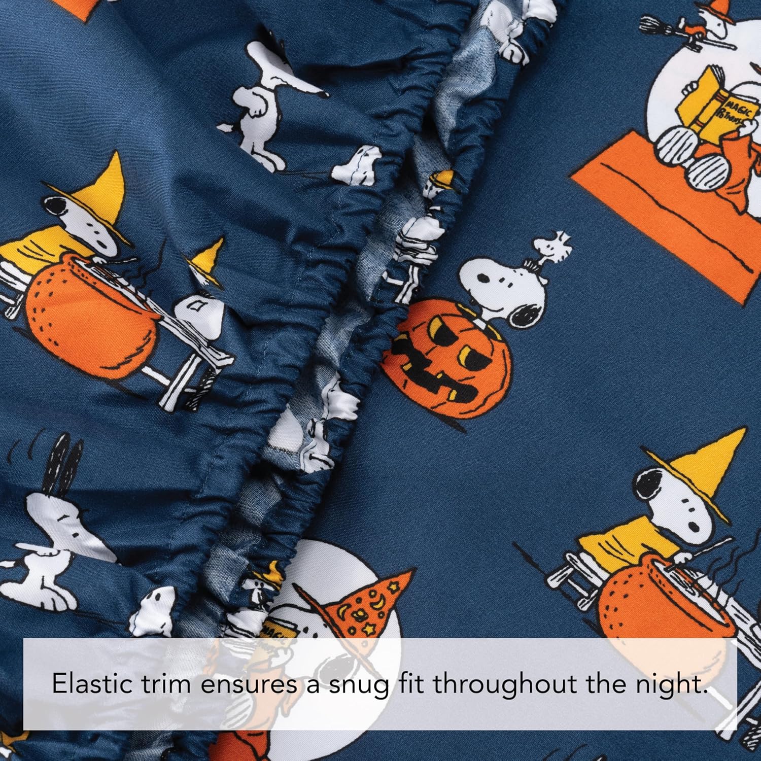 Berkshire Blanket Peanuts Kids Sheet Set Twin 1